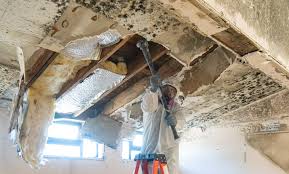 Best Environmental Consulting for Mold Prevention in Bridgeville, PA